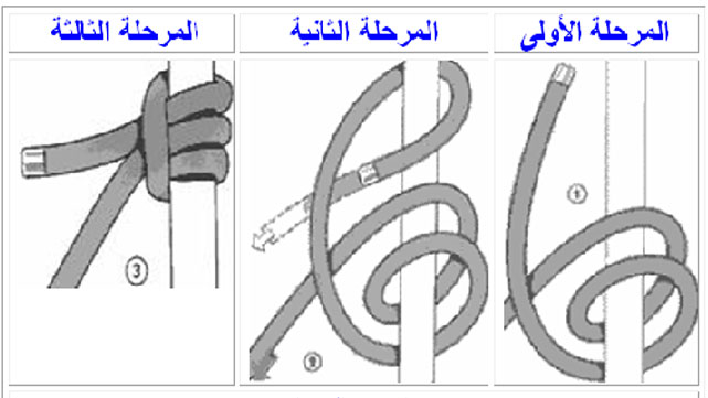 الربطة المحدبة