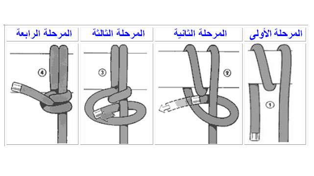  ربطة المرساة
