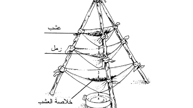 تصفية المياه بالأعشاب