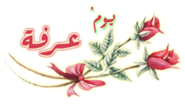 الحج عرفة