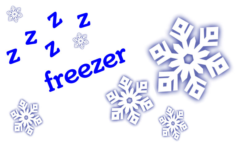 لعبة: ززز فريزر

zzz freezer