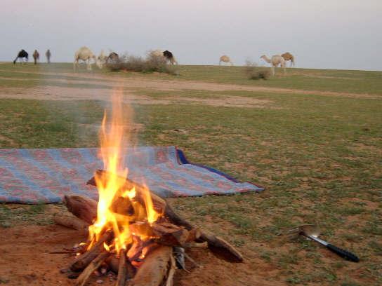 الأنشطة الخارجية